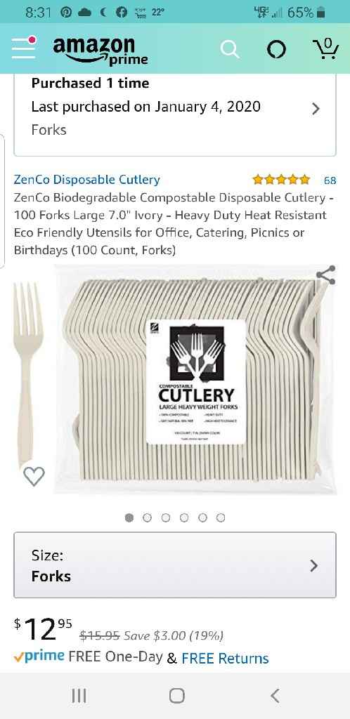 Going with Disposable Plates - 2