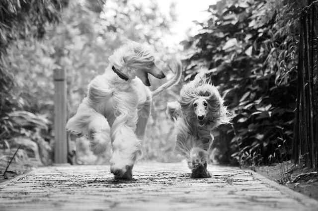 A must see to start your Friday!!!