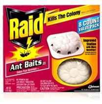NWR: Ants in the kitchen!