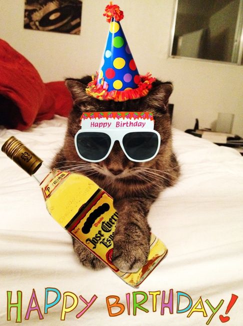 NWR IT'S MY BIRTHDAYYYYY!!!!!!!