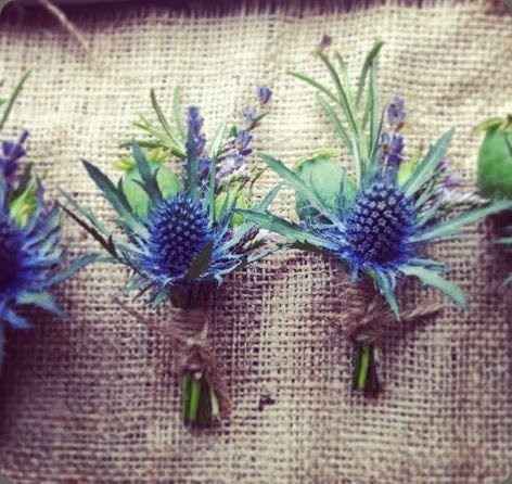 Blue flowers for bouquets/boutonnieres/arrangements