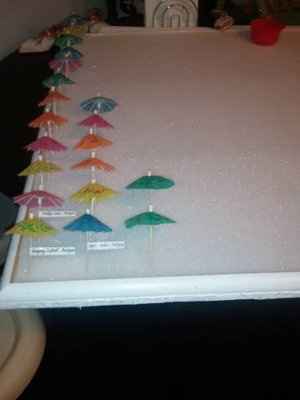 Beach theme DIY - need opinions!!! **PICS**