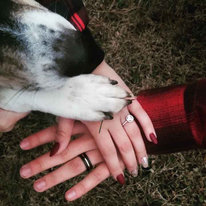 Show me the Ring!💍 - 1