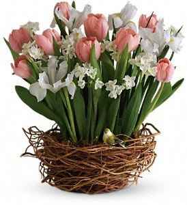 centerpieces