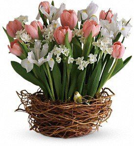 centerpieces