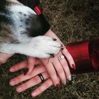 Show me the Ring!💍 - 1
