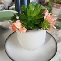 Are you a sucker for succulents as wedding favors? - 1