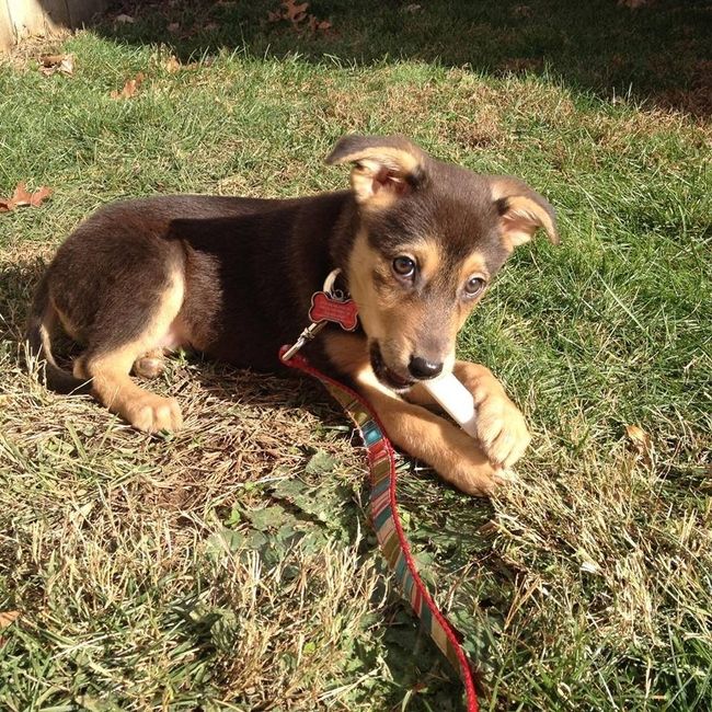 NWR: Show me your pups!