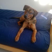 It's Fursday! Share the love!