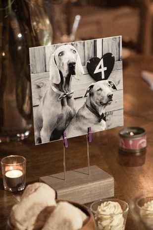 Dog table numbers?
