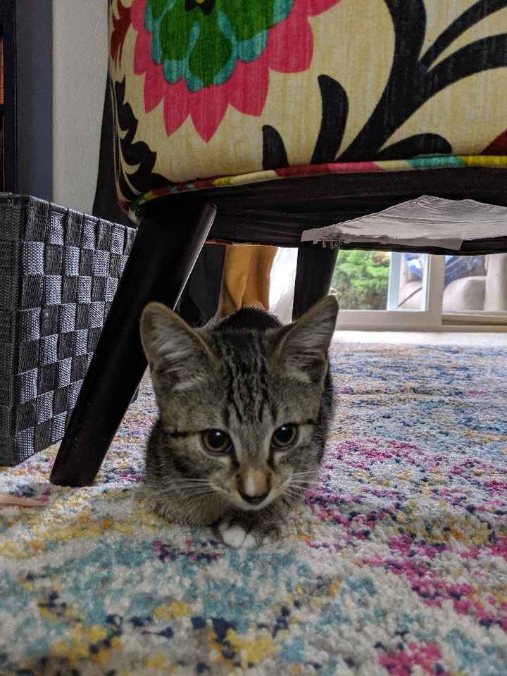 Strange Ways to Deal with Wedding Stress - 1