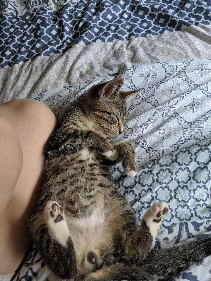 Strange Ways to Deal with Wedding Stress - 2