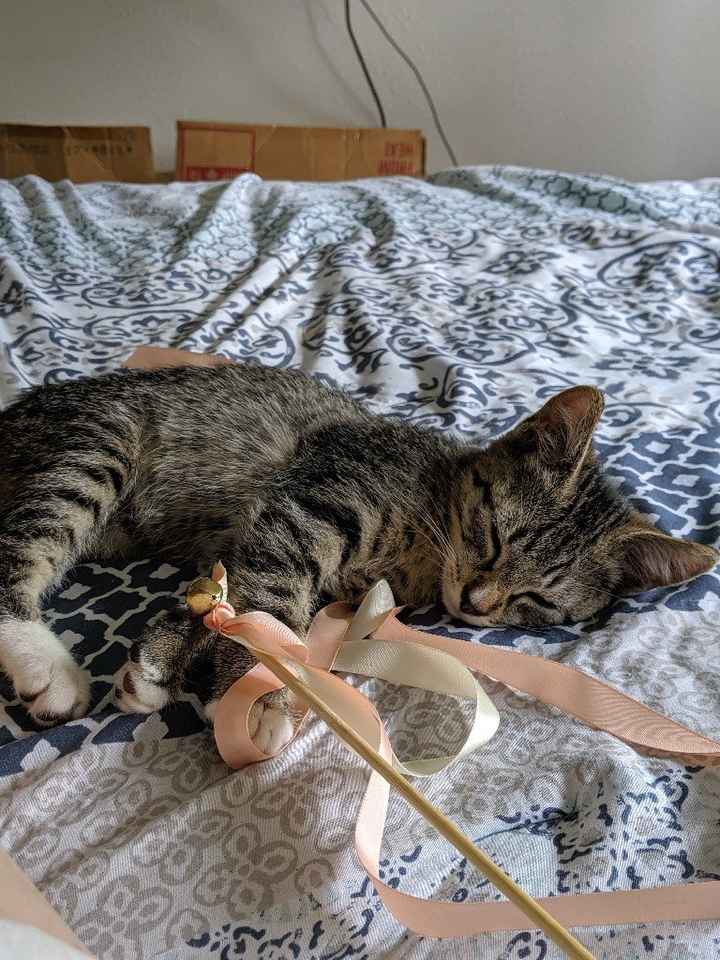 Strange Ways to Deal with Wedding Stress - 3