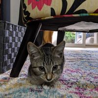 Strange Ways to Deal with Wedding Stress - 1