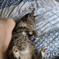 Strange Ways to Deal with Wedding Stress - 2