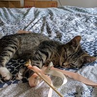 Strange Ways to Deal with Wedding Stress - 3