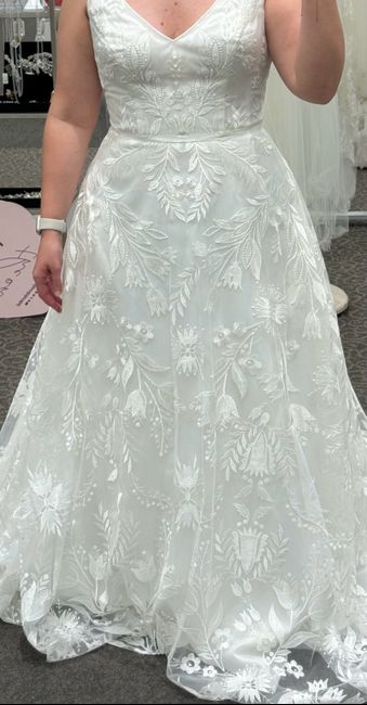Wedding dress opinion 2