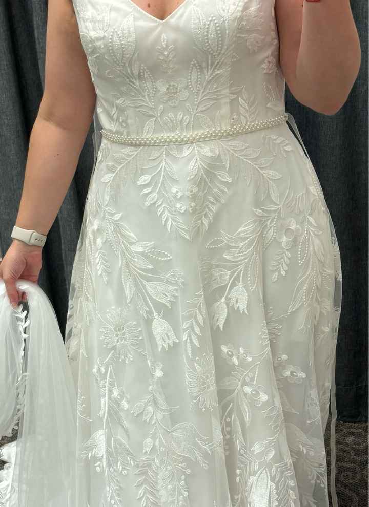 Wedding dress opinion - 1