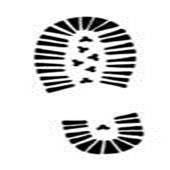 Logo Design Help