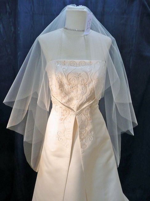 Does my dress and this veil match?