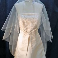 Does my dress and this veil match?