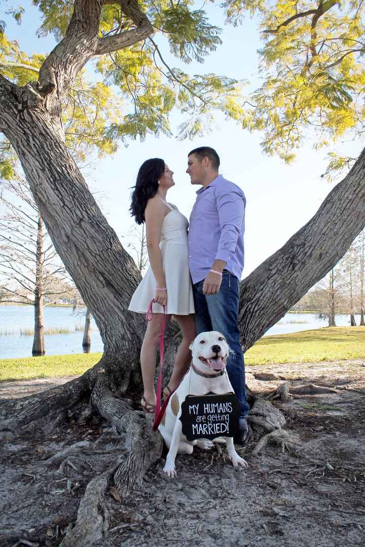 Let's see engagement pics!