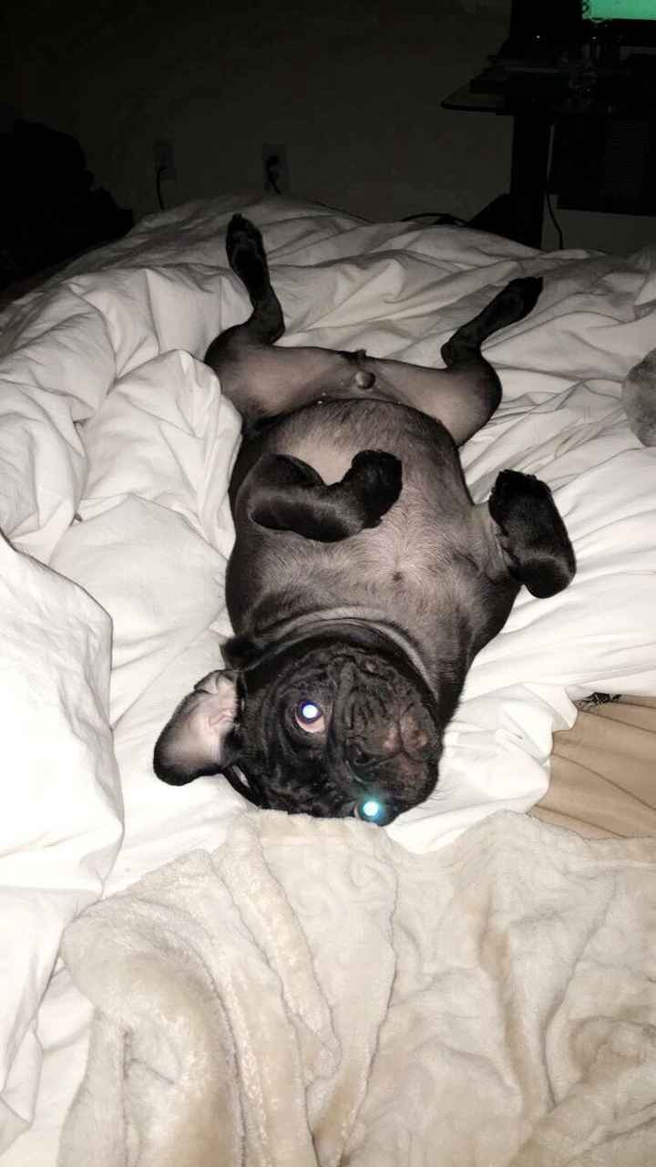 NWR: Shameless pet post!