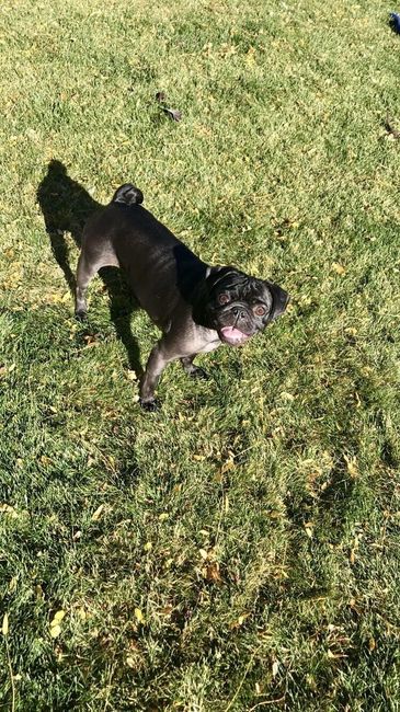 NWR: Show me your fur babies