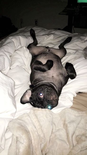 NWR: Shameless pet post!