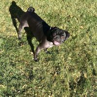 NWR: Show me your fur babies