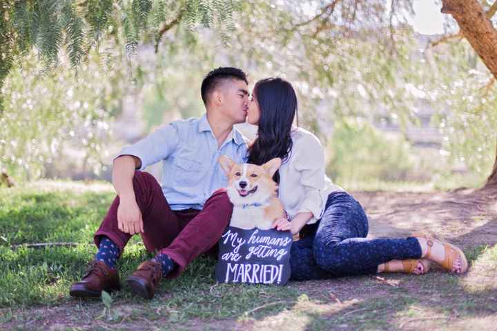 If you could narrow it down to the 3 best wedding or engagement photos