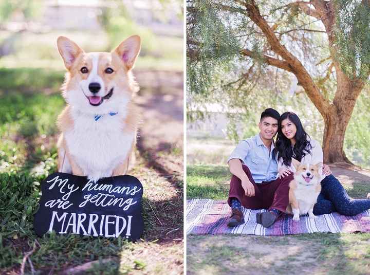 NWR: today is my Pups 2nd birthday!! Do you and your FH have a pet? Show pics!!!