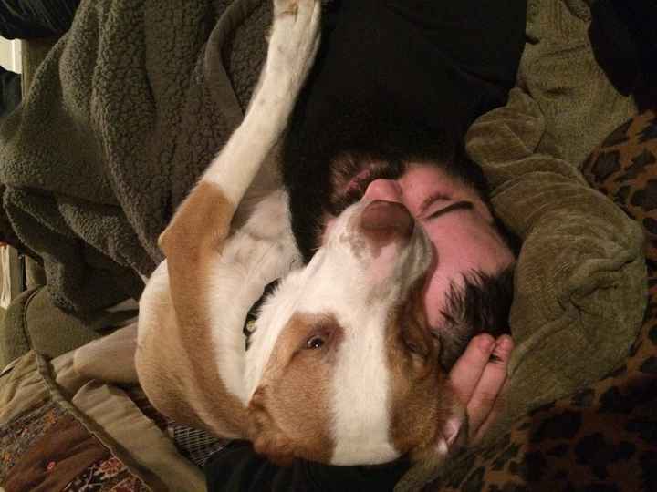 Pet names... Proper animal ones this time.,