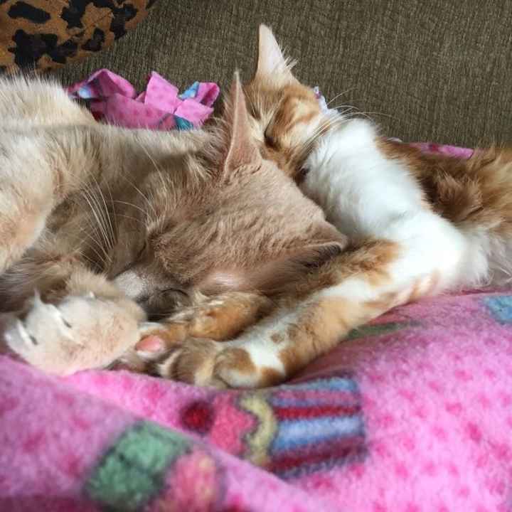 NWR:depressed cheer me up?