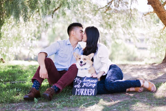 Any 2014/2015 Brides taking E-pics or have already taken them?