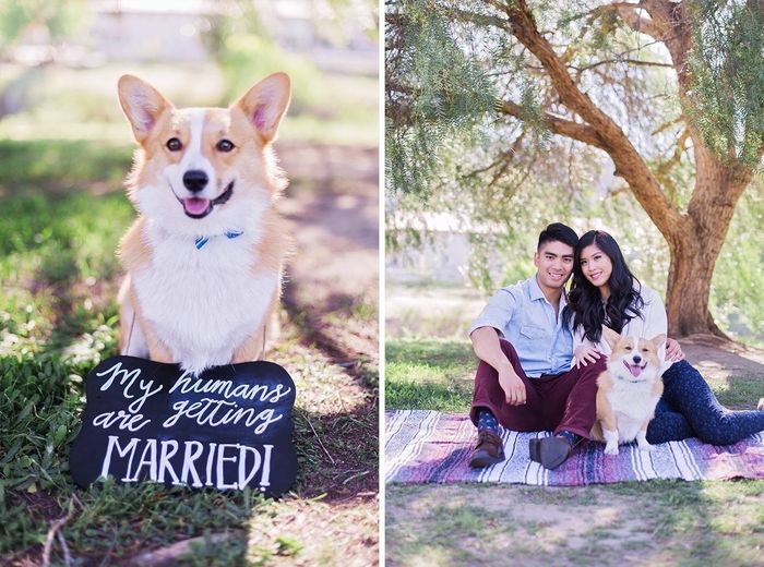 NWR: today is my Pups 2nd birthday!! Do you and your FH have a pet? Show pics!!!