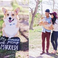 Engagement Pics with Pups!