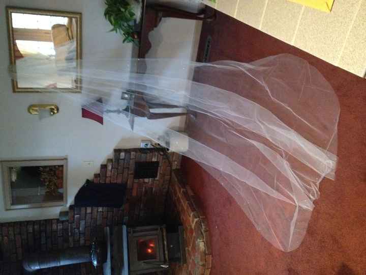 Cathedral Length Veil with Swarovski Crystals