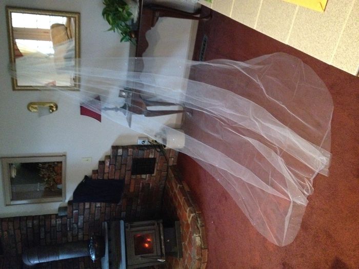 Cathedral Length Veil with Swarovski Crystals