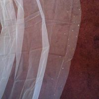 Cathedral Length Veil with Swarovski Crystals