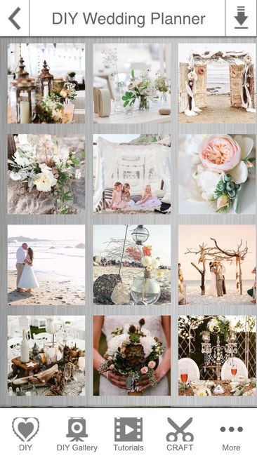 DIY Wedding app obsession