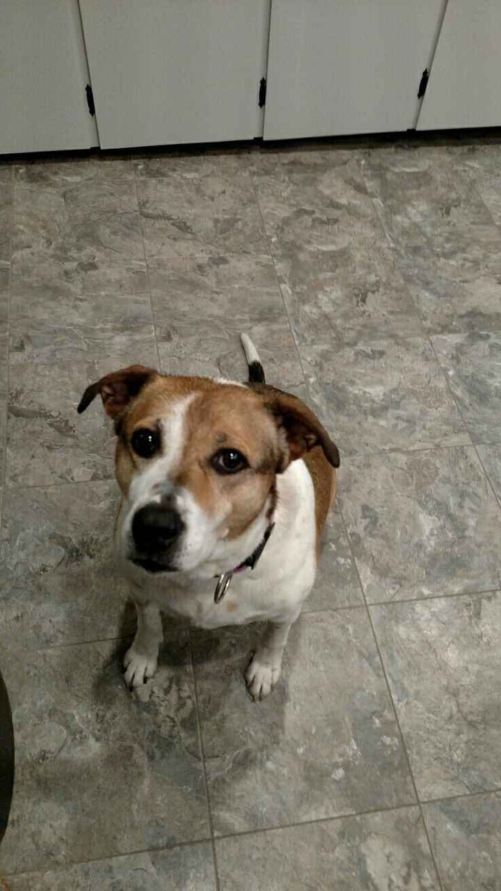 NWR:. Just wanted to share the Sunshine. Caution:Extreme cuteness enclosed.