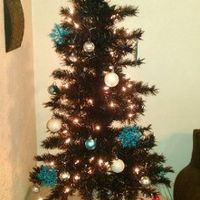 NWR- Lets see your Christmas trees!!!