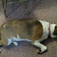 NWR:. Just wanted to share the Sunshine. Caution:Extreme cuteness enclosed.