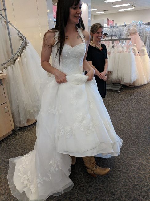 Wedding Dress Budget 12