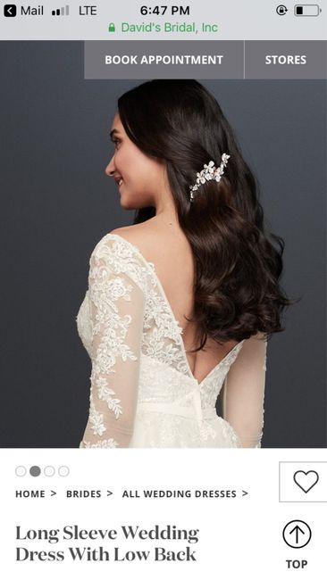 Any Long sleeved brides or brides to be out there? 4
