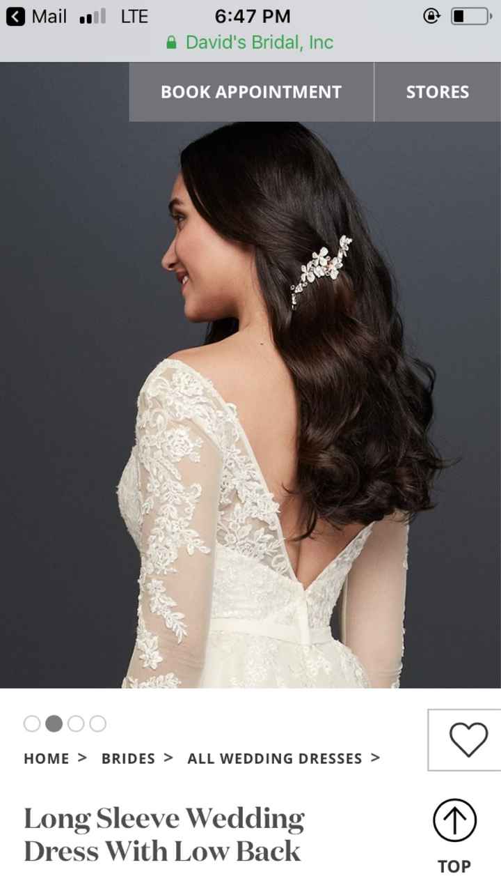 Any Long sleeved brides or brides to be out there? - 2