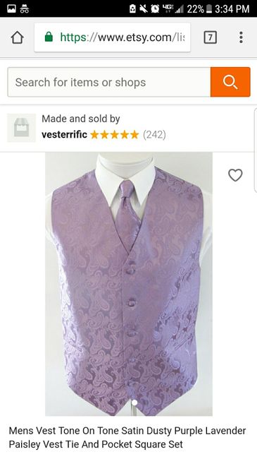 Help me choose a vest! - 2
