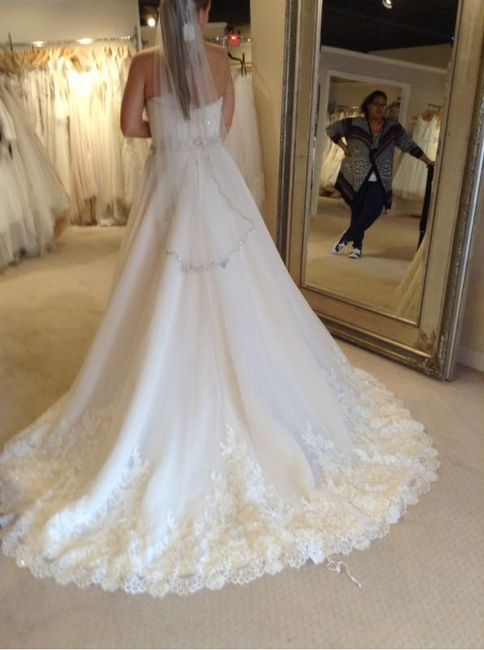 I said yes to the dress!  And a brag on my amazing daughter!