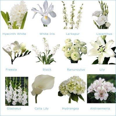 Flower ideas for beach wedding